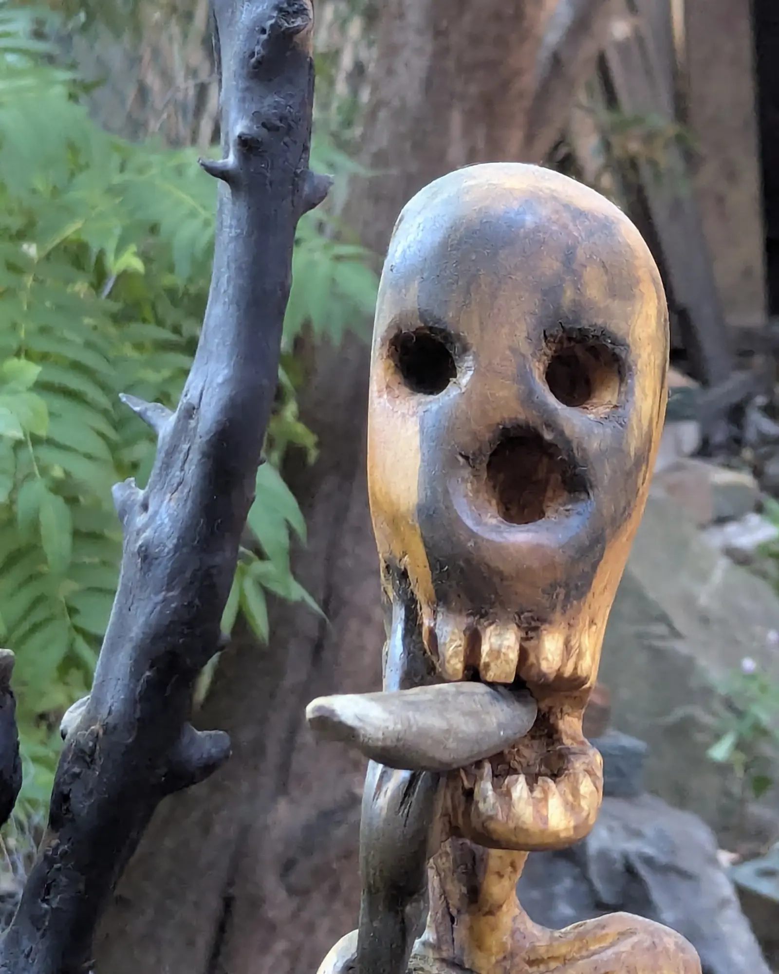 Mort mais vivant 1, détail : le crâne allongé en bois clair aux zones assombries, deux orbites rondes, une bouche béante, une rangée de dents et la pierre tenue dessous, l'épaule et le haut des côtes, la branche calcinée à gauche sur fond de feuillage