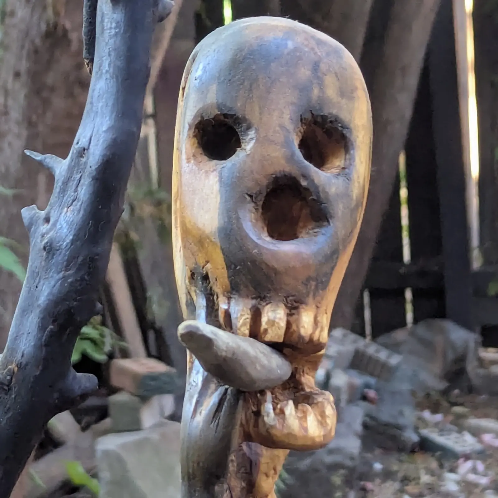 Mort mais vivant 1, gros plan carré sur le visage : deux orbites et une bouche ouvertes dans le bois clair, les dents du haut et du bas encadrant la pierre lisse, les moignons de rameaux de la branche noire à gauche, clôture sombre floue derrière