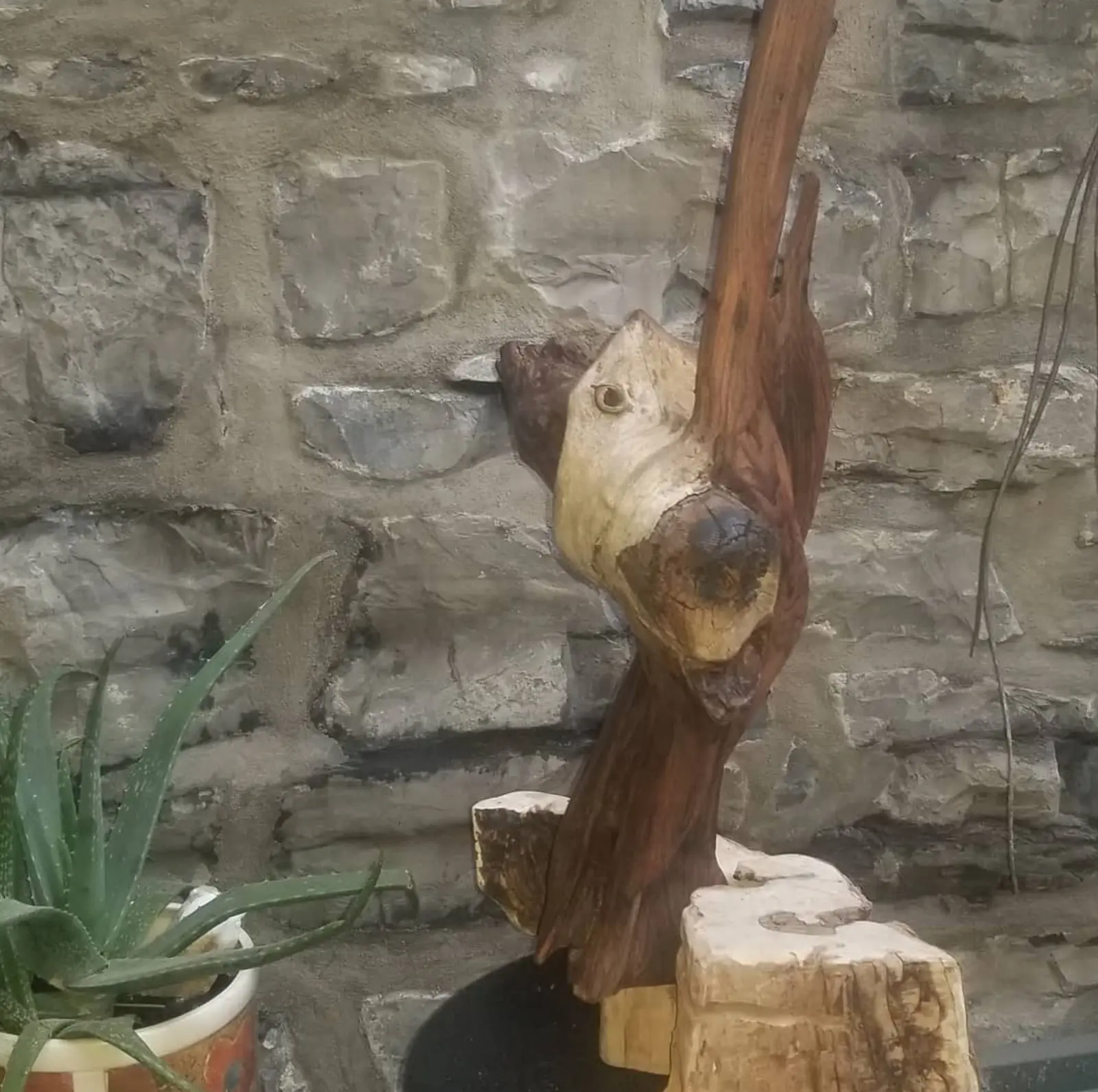 Sculpture en bois dressée devant un mur de pierres grises, la tête pâle tournée vers la gauche et le fût brun-rouge filant hors du cadre, un aloès en pot au premier plan à gauche
