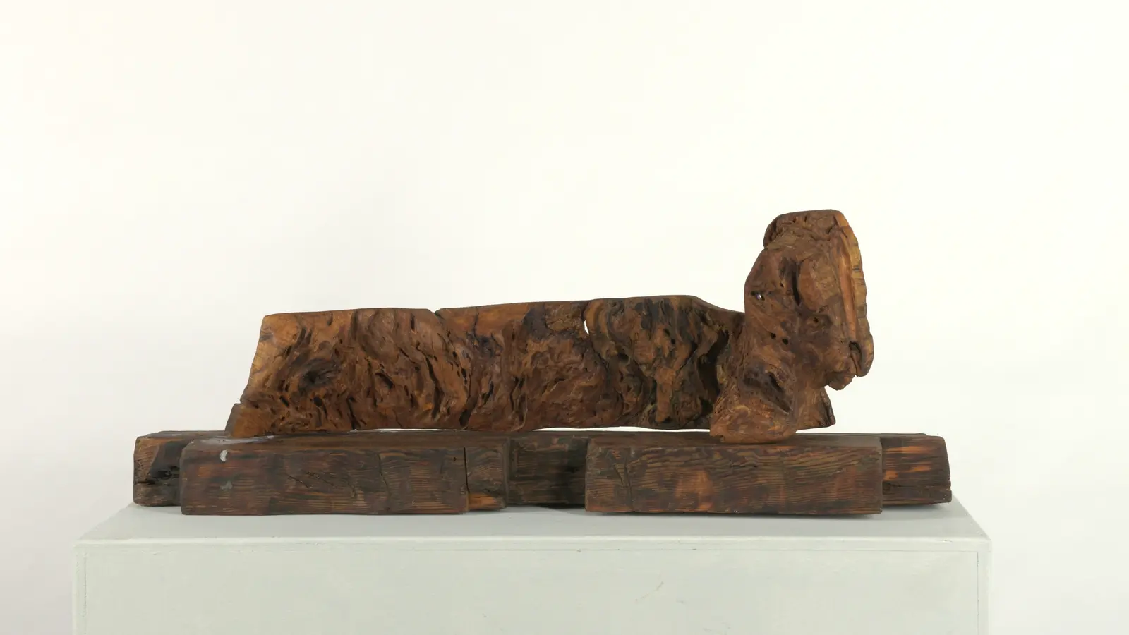 Vue d'ensemble de la figure couchée en loupe de bois sur son assemblage de poutres anciennes, tête redressée à droite, fond blanc
