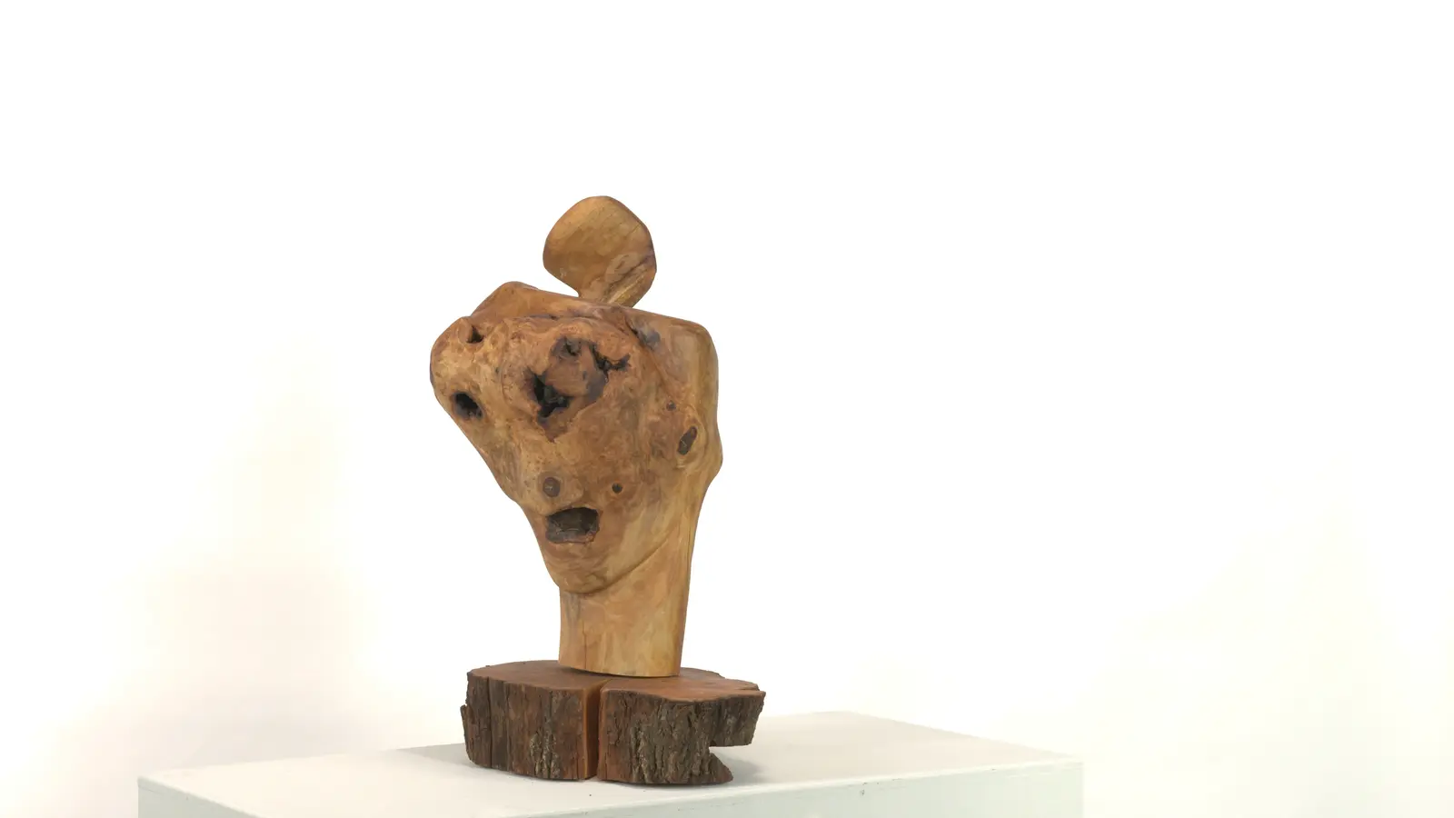 Brainless, œuvre de Robert Bibeau