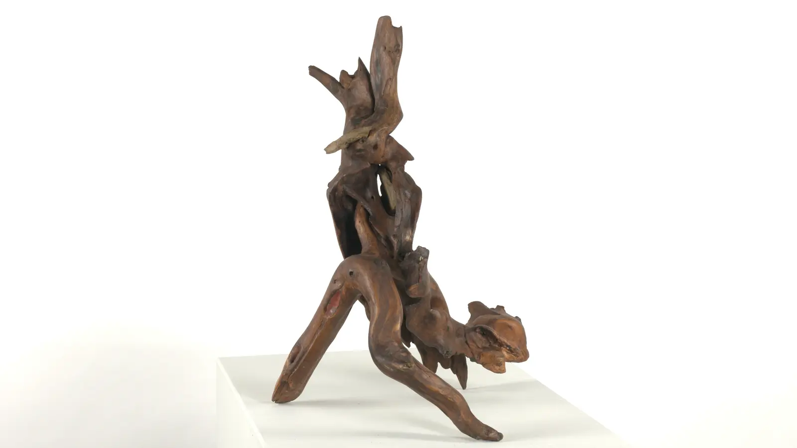Totem racine + pierres — bois trouvé/raciné contorsionné en S vertical, pierres encastrées. — vue 3