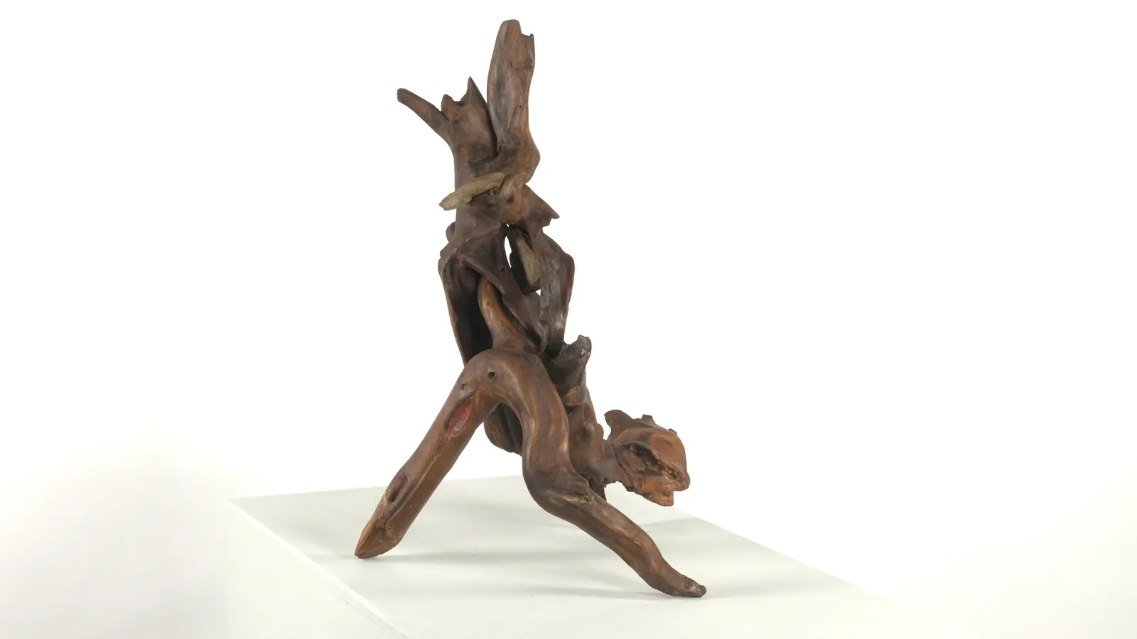 Totem racine + pierres — bois trouvé/raciné contorsionné en S vertical, pierres encastrées. — vue 5