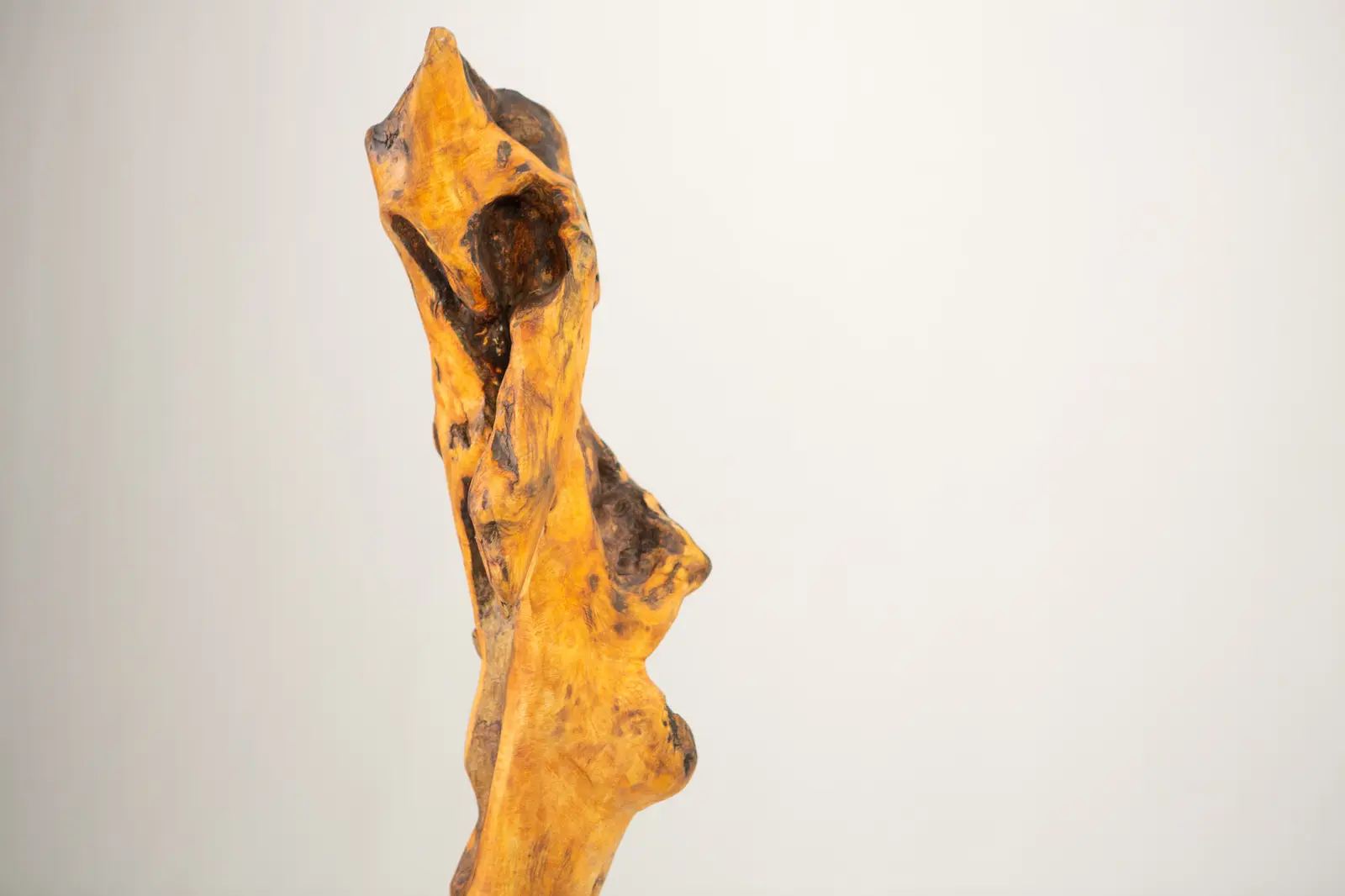 Sculpture verticale en bois trouvé, partie haute, surface miellée de loupe percée d'une cavité sombre profonde en forme d'orbite, fond clair.