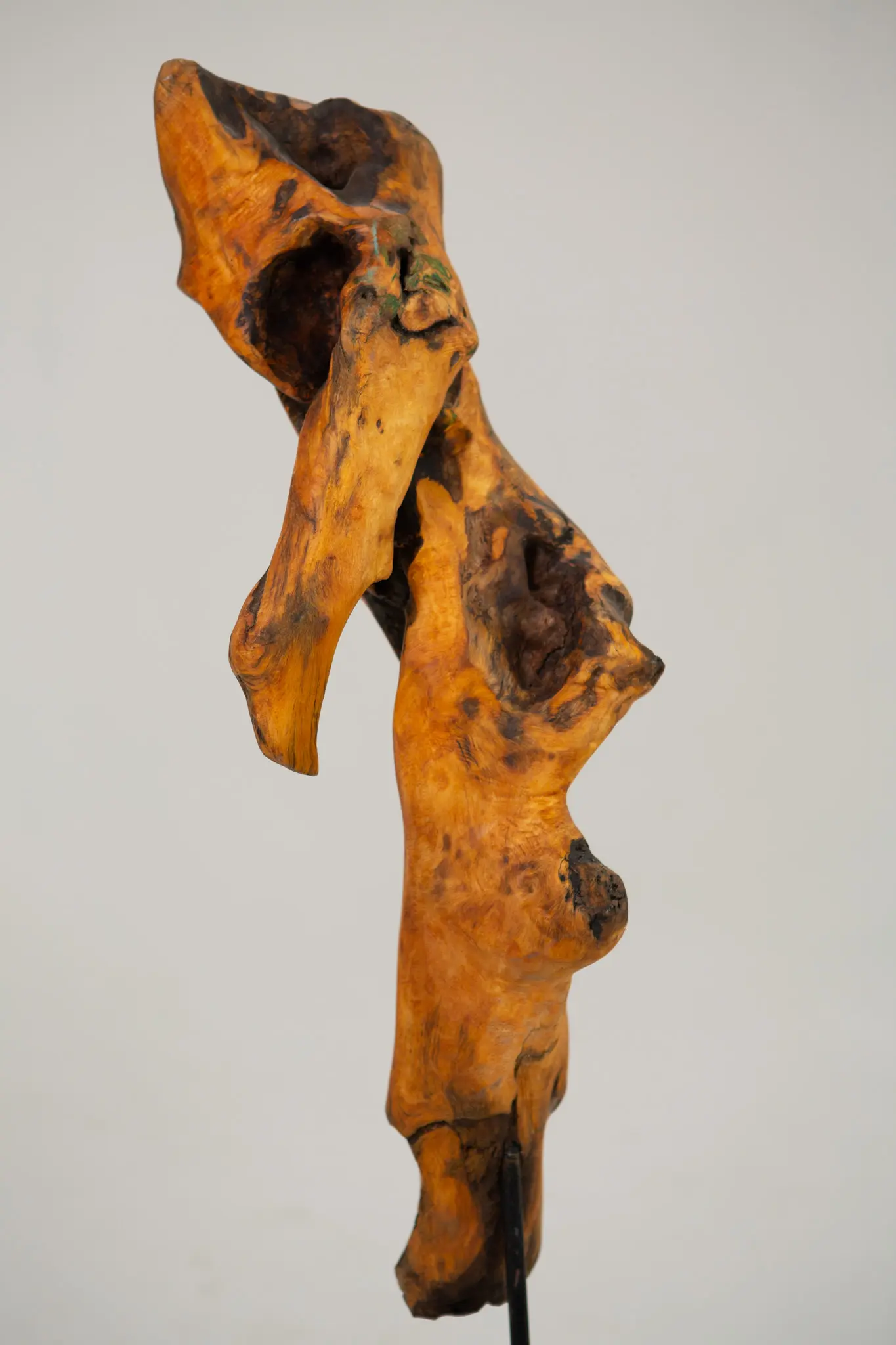 Figure dressée en loupe sculptée vue de trois-quarts, formes noueuses et excroissances, multiples creux sombres et traces de pigment vert, montée sur tige métallique.