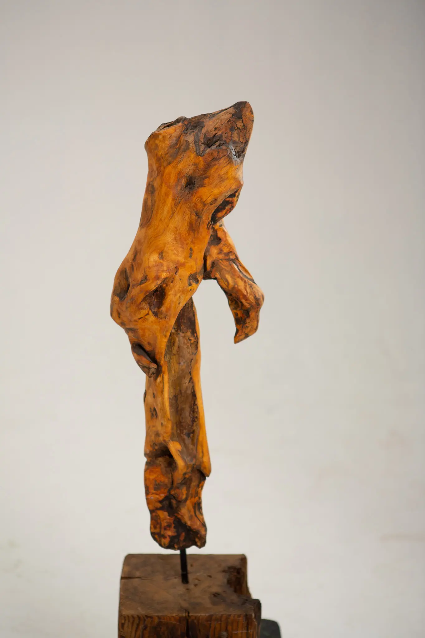 Sculpture en racine sculptée vue de face, corps étroit aux saillies anguleuses dressé sur tige métallique fichée dans un socle de bois brut.
