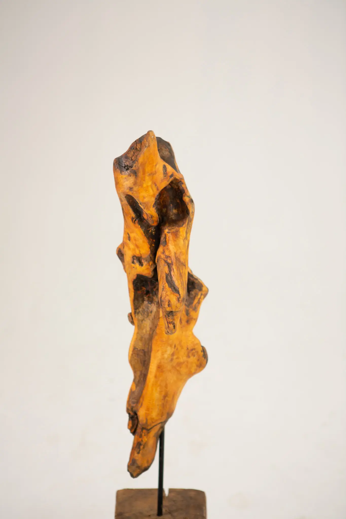 Figure verticale en bois trouvé sur fond clair, masse compacte striée de fissures et de creux ombrés, base reposant sur une tige métallique.