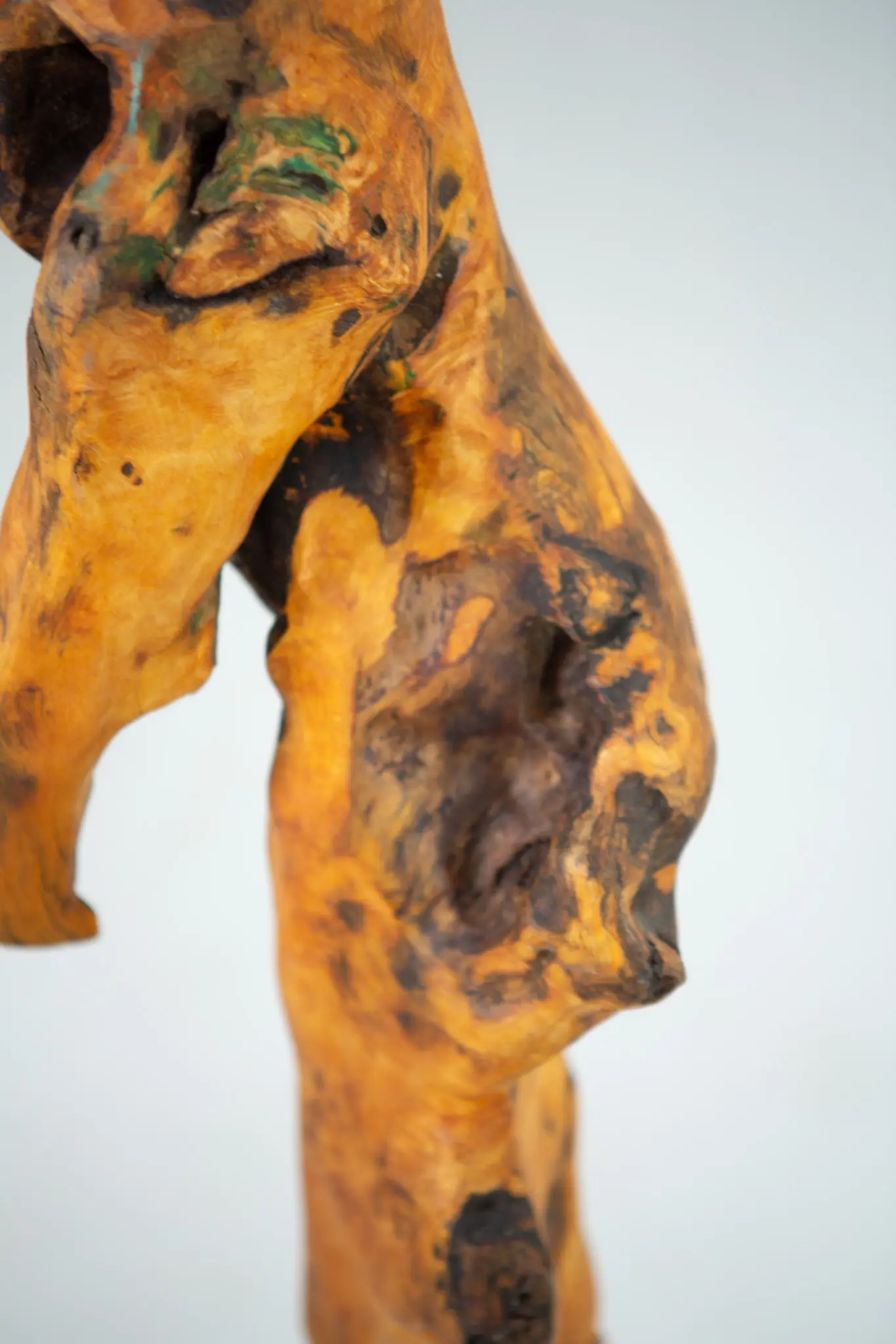 Détail rapproché de la loupe sculptée, grain ondulé miel et brun, cavité centrale béante et résidus de pigment vert logés dans les creux.