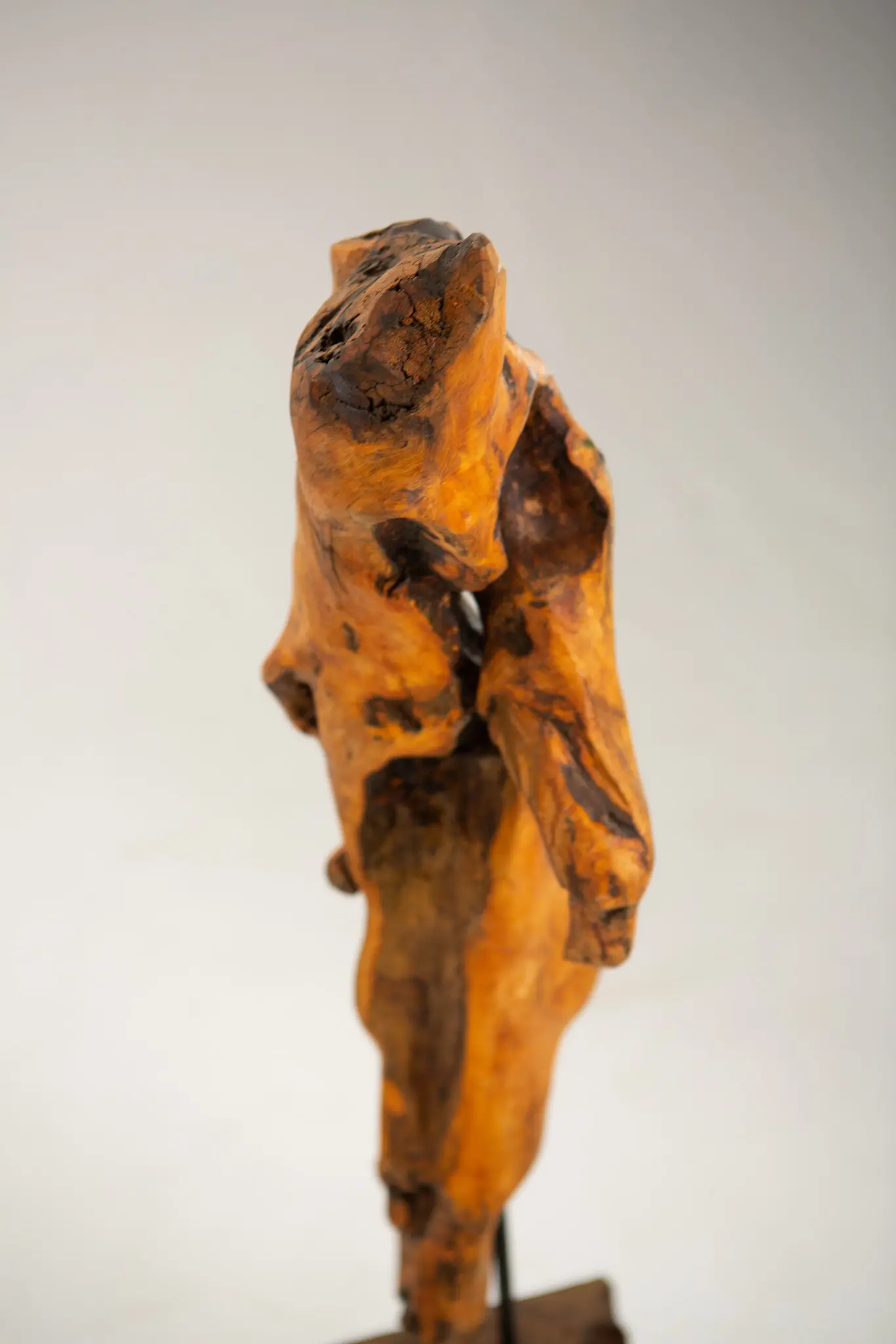 Tête de la figure en loupe vue de trois-quarts, sommet noueux et fissuré, cavités d'ombre creusant la matière, montée sur tige métallique et socle.