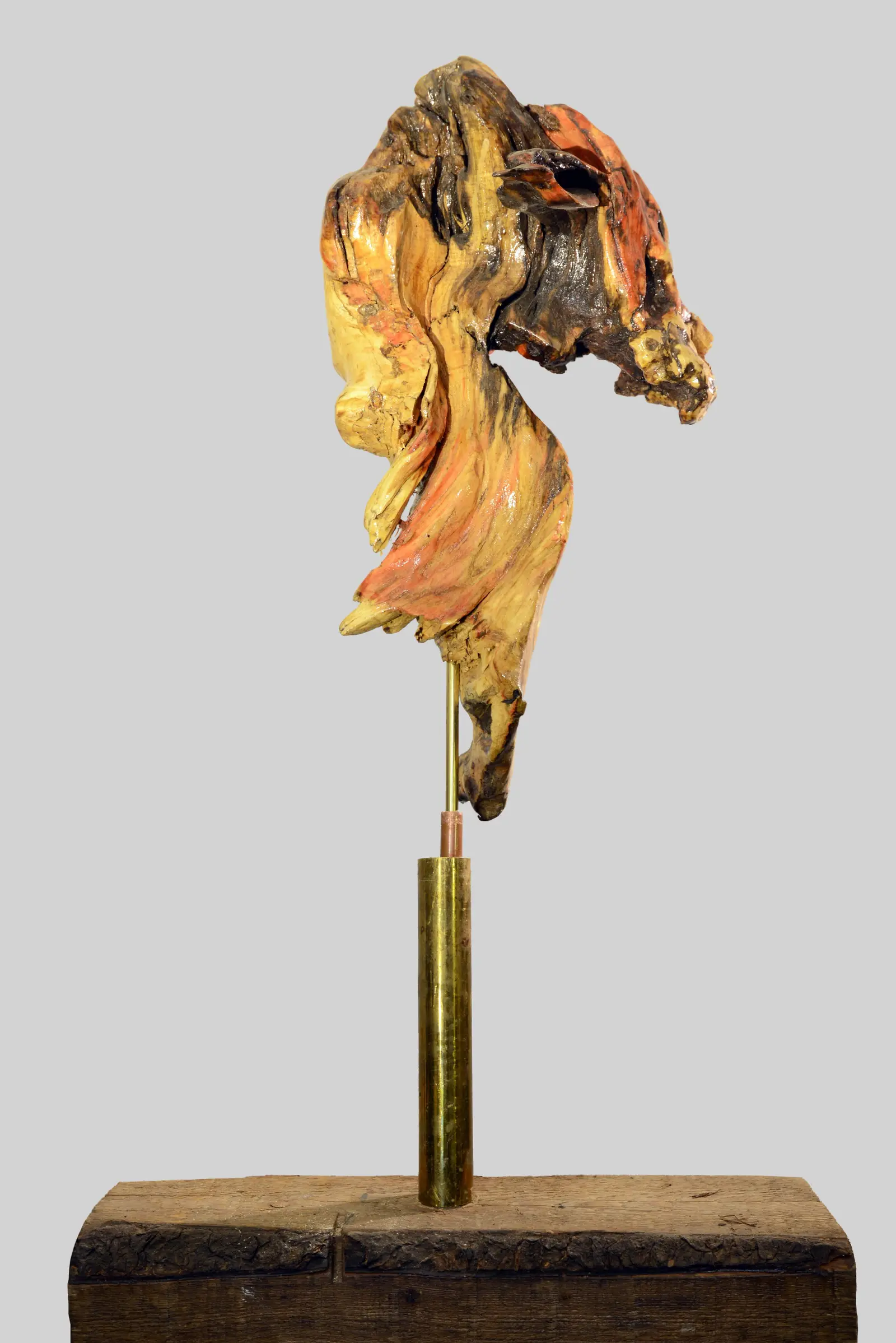 Le cheval de mer — sculpture mâle en loupe de bois polychrome, tons orange et jaune, montée sur tige laiton et base bois brut, vue de trois-quarts