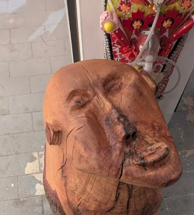 Chien de garde — sculpture de Robert Bibeau : visage humain taillé dans le bois, vu de face
