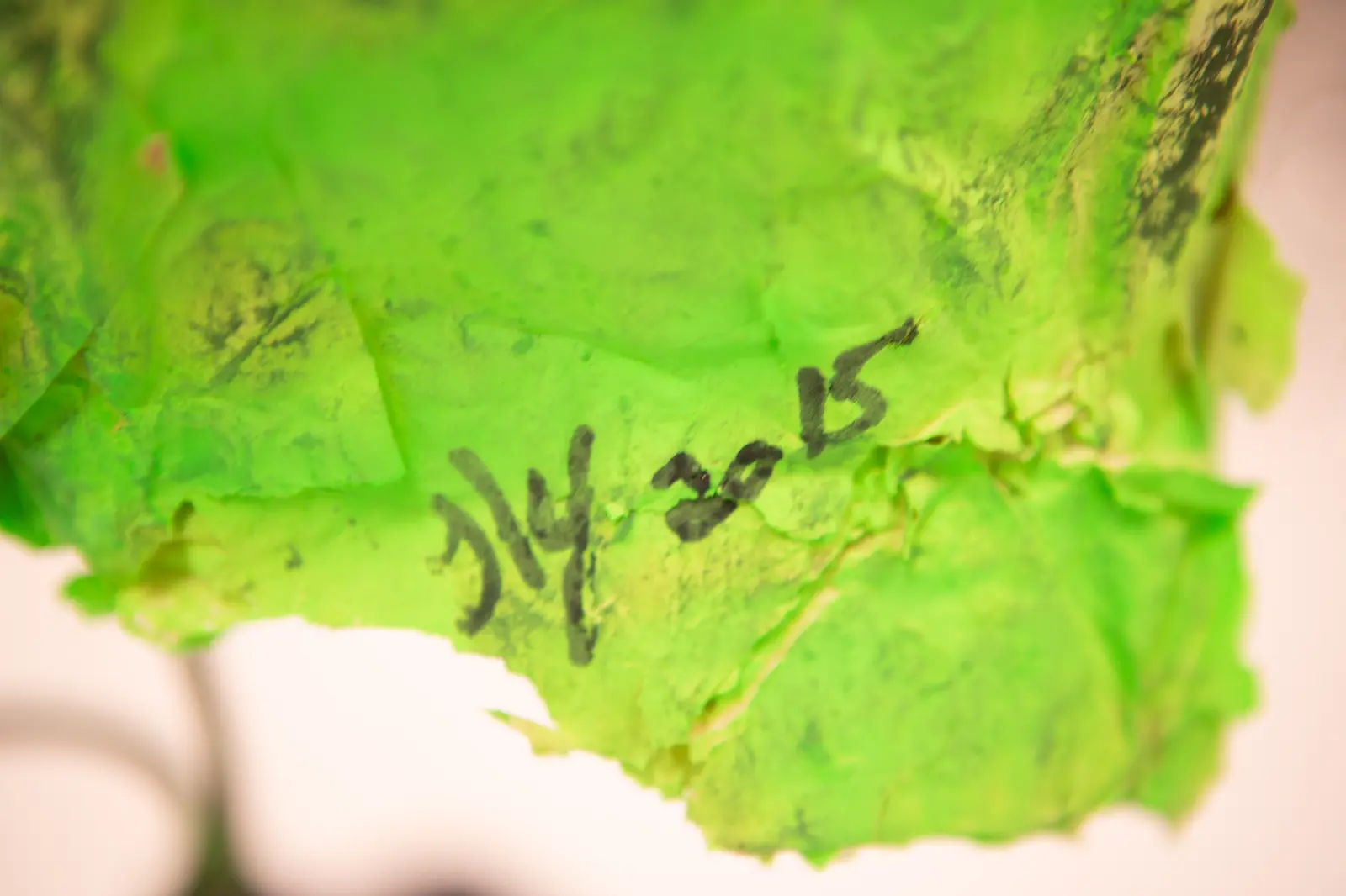 Gros plan de la surface en papier peinte en vert portant une signature et une date manuscrites à l'encre noire.