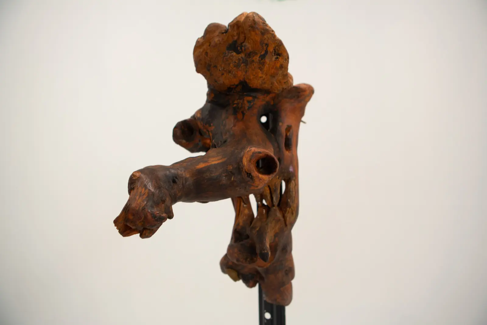 Sculpture en racine de bois trouvé teintée rouge, profil d'une gueule ouverte aux cavités sombres, montée sur tige métallique noire.
