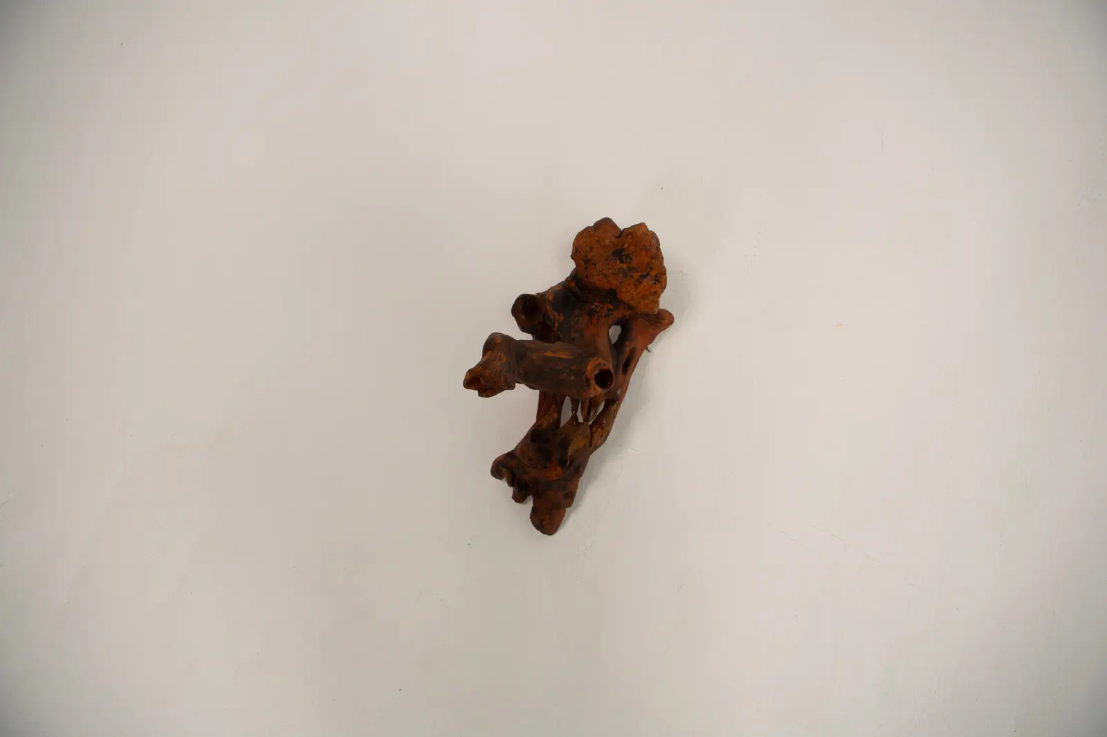 La sculpture en bois trouvé vue de loin sur un mur clair, masse compacte rouge-brun aux creux et pointes naturels.