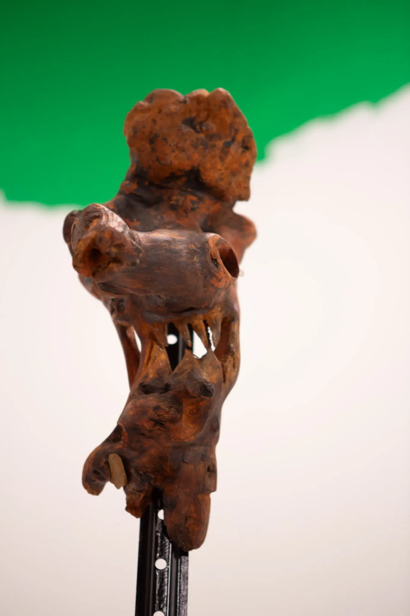 Vue frontale de la figure dressée, deux cavités en orbites au-dessus d'une rangée de pointes de bois évoquant des crocs.