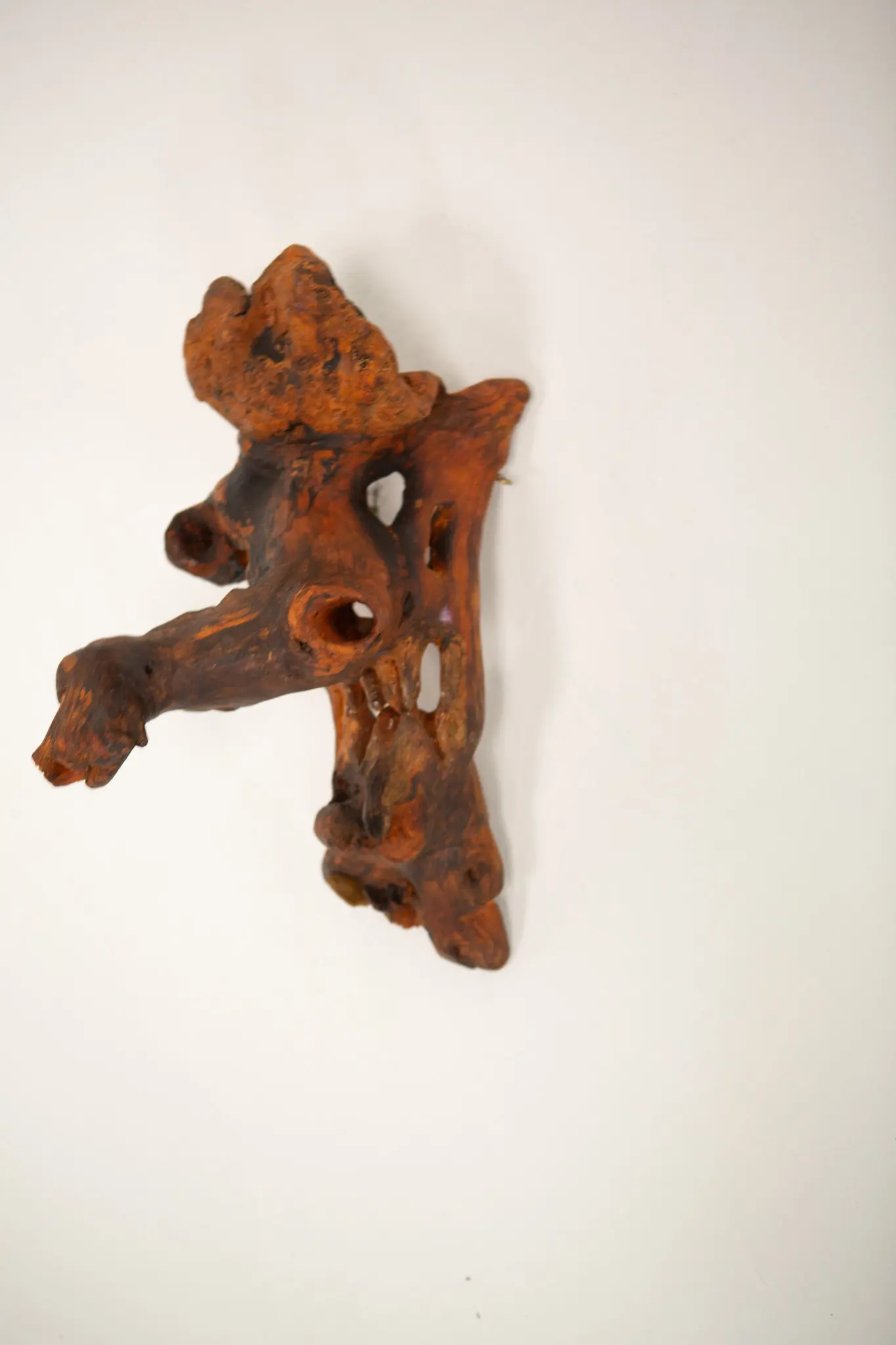 La sculpture en racine de bois montée au mur, orientation verticale, bras de bois saillant à gauche et cavité centrale.
