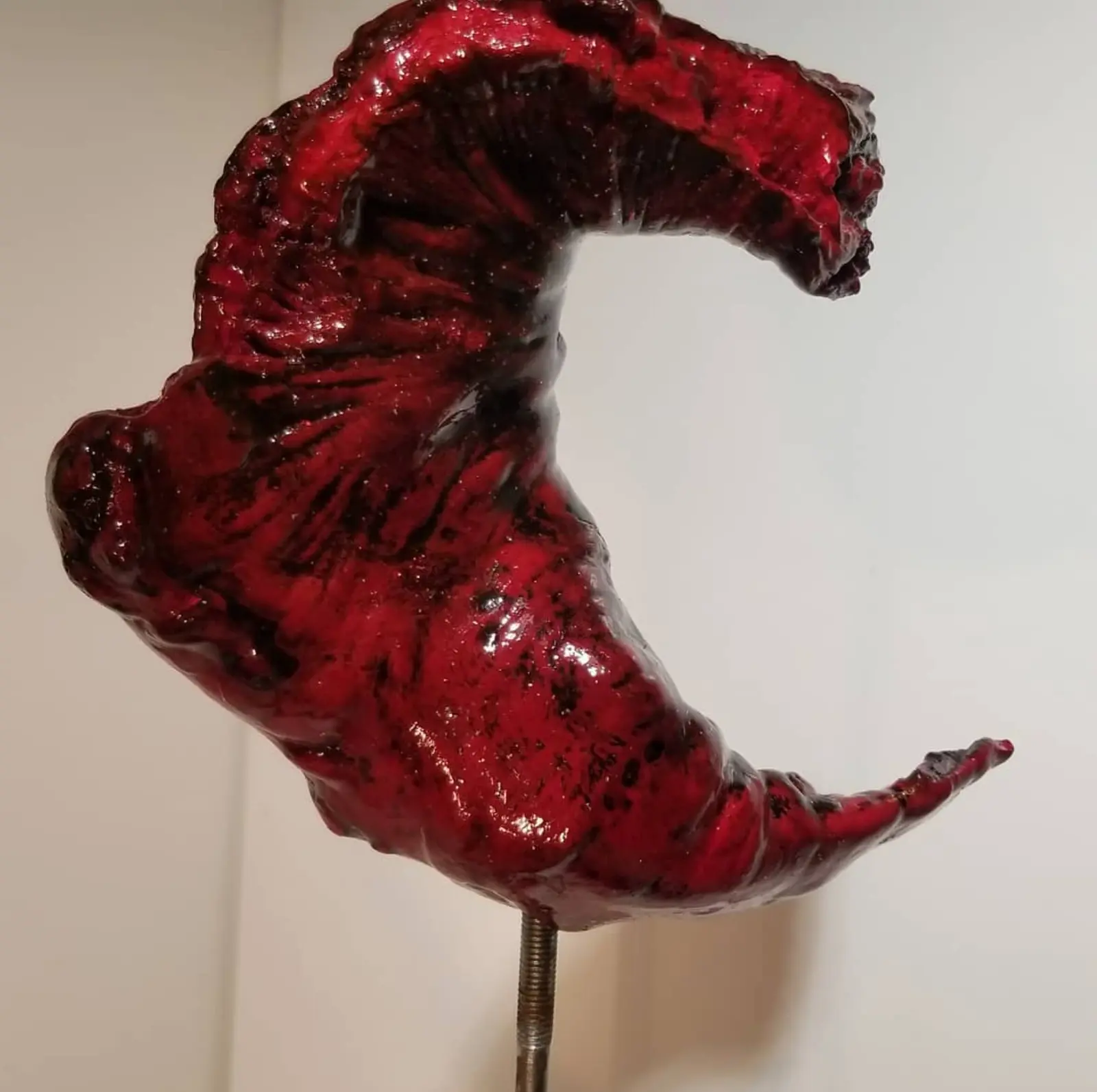 Gros plan sur la forme creuse en croissant, matière plissée et veinée sous un rouge vif et brillant strié de noir, portée par une tige métallique filetée, devant l'angle d'un mur clair