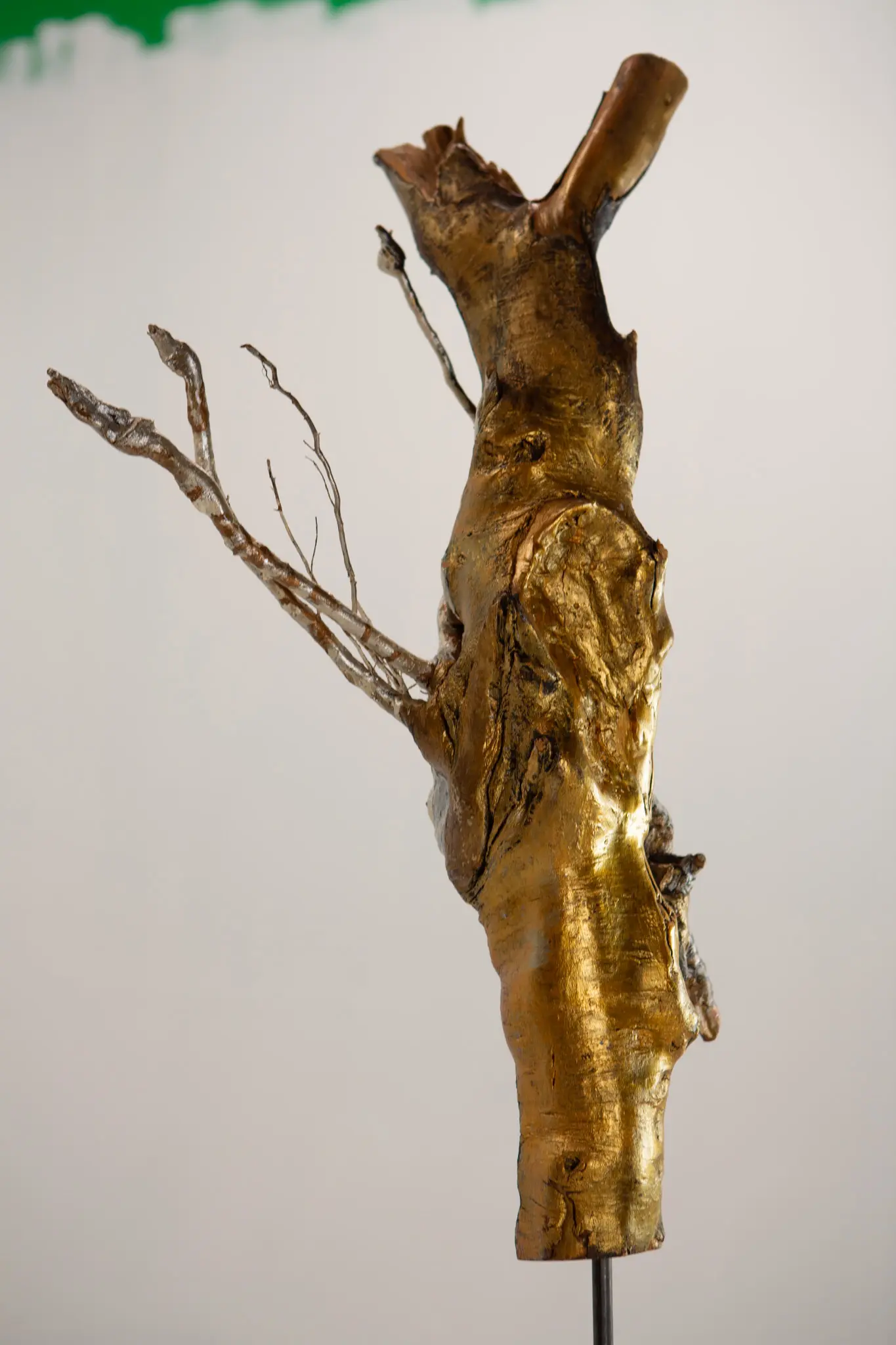 Tronc dore a la feuille avec branches pales effilees s ecartant lateralement, fond clair.