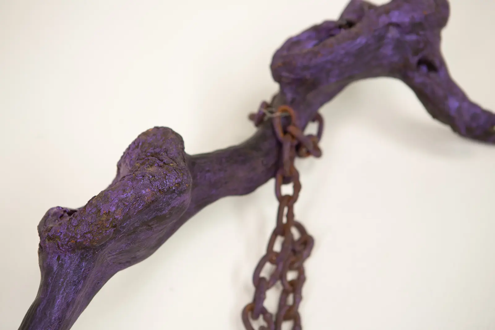 Détail du corps en branche teinté de violet, noeud noueux saillant et chaîne rouillée enroulée à la jonction.
