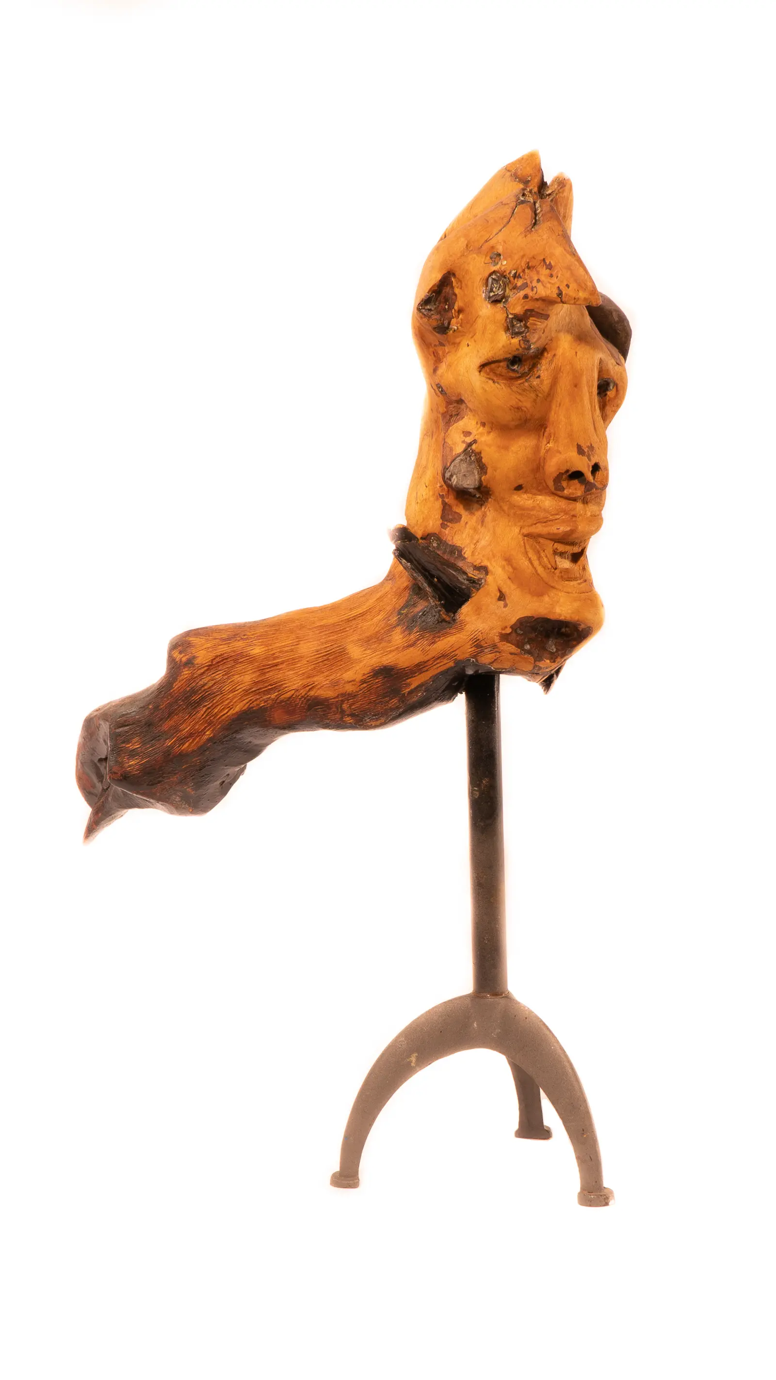 Sculpture : tête de bois flotté au profil émergent sur socle d'acier à trois pieds, œuvre de Robert Bibeau