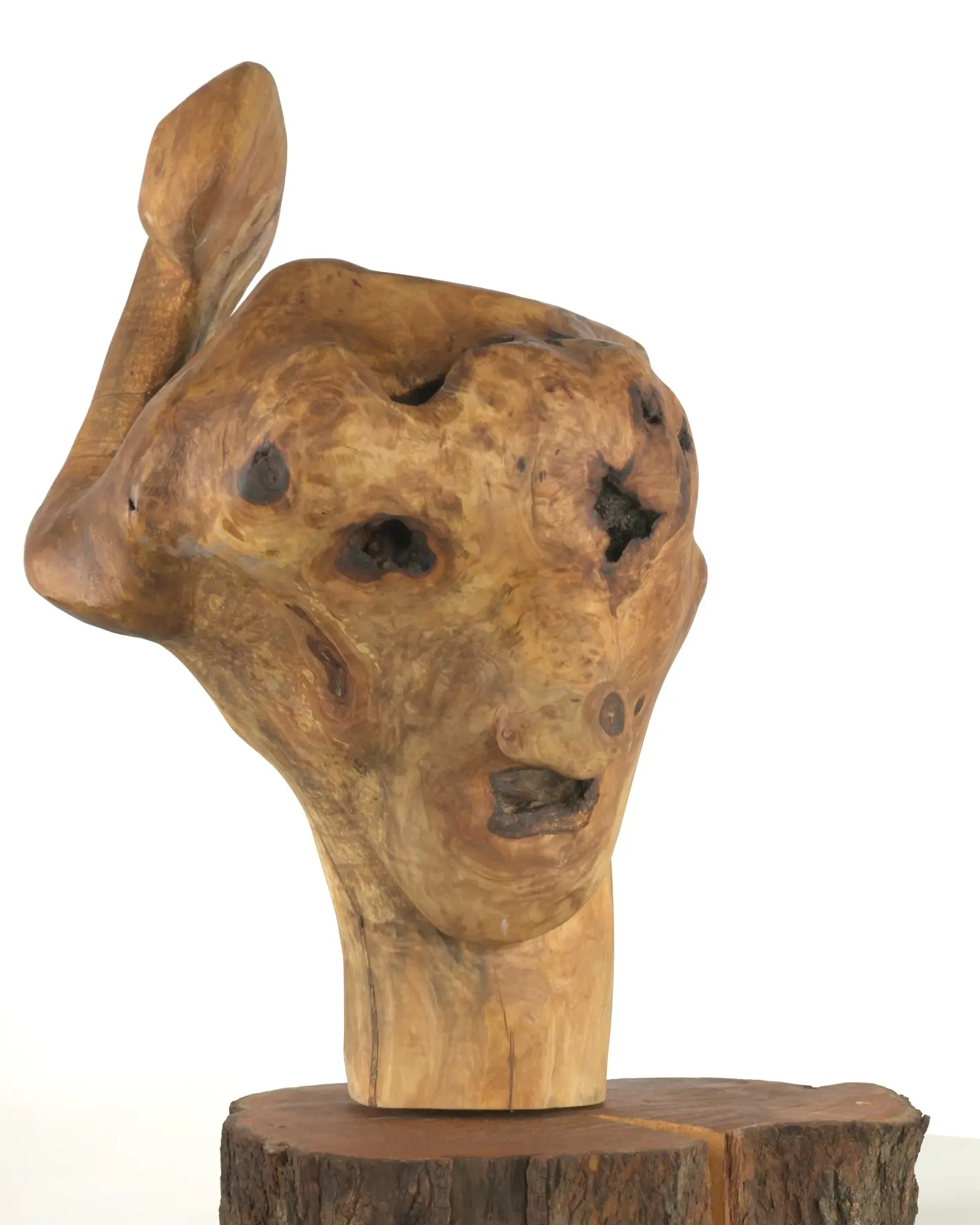 Brainless — tête en bois sculpté aux cavités expressives, montée sur rondin à écorce préservée, fond clair