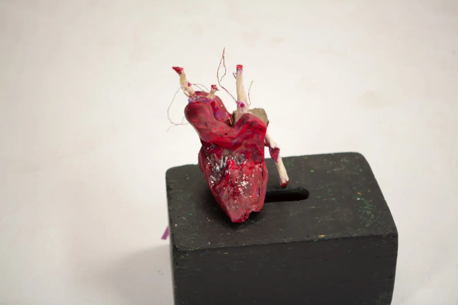 Cœur anatomique en bois rouge laqué, vaisseaux pâles tranchés dressés et fils de fer, sur socle noir percé d'une fente.