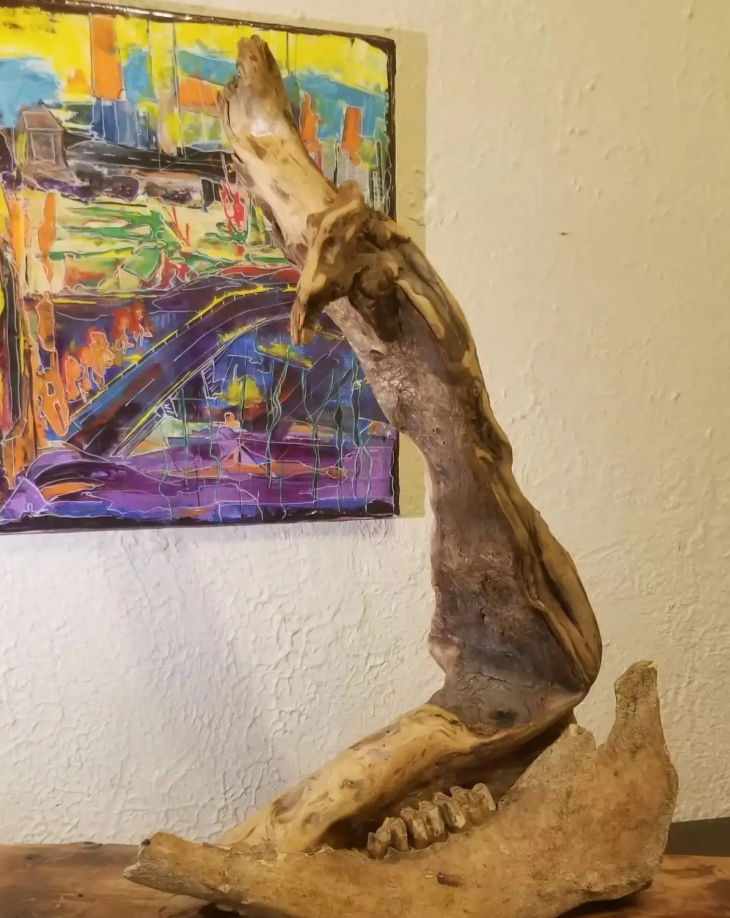 Long curved piece of cracked pale wood rising from an animal jawbone with visible molars, set on a wooden board against a white wall hung with a yellow and purple painting, work by Robert Bibeau